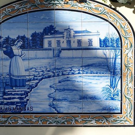 Casa Aguas Mansas Bed & Breakfast Cadima Dış mekan fotoğraf