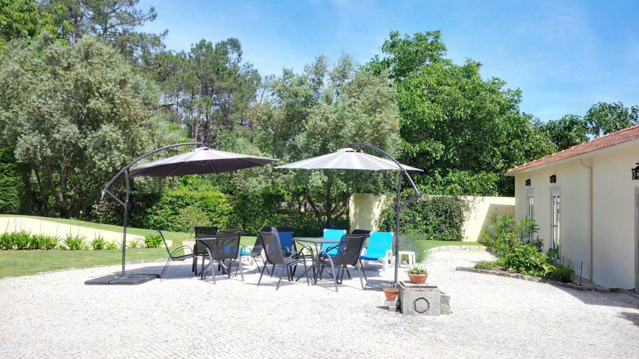 Casa Aguas Mansas Bed & Breakfast Cadima Dış mekan fotoğraf