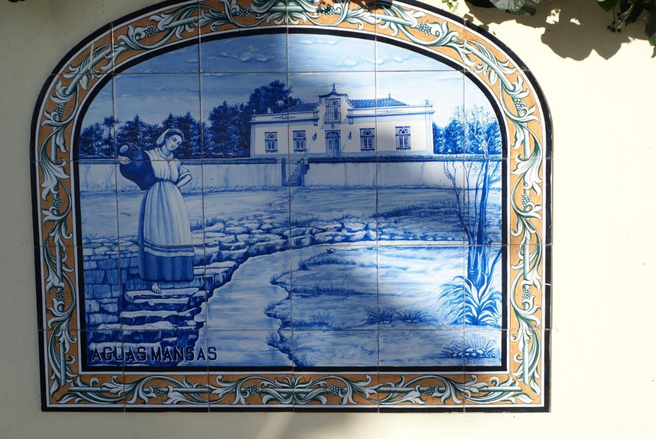 Casa Aguas Mansas Bed & Breakfast Cadima Dış mekan fotoğraf