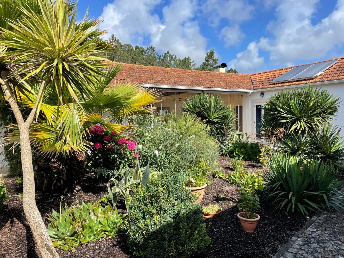 Casa Aguas Mansas Bed & Breakfast Cadima Dış mekan fotoğraf